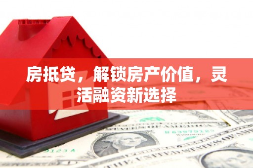利辛房抵贷，解锁房产价值，灵活融资新选择