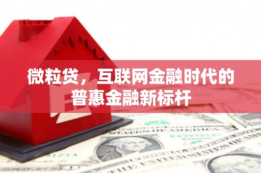利辛微粒贷，互联网金融时代的普惠金融新标杆