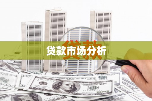 利辛贷款市场分析