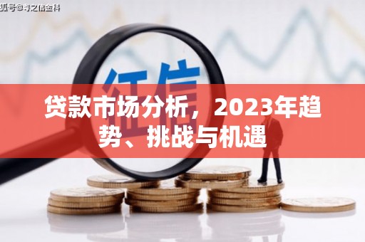 利辛贷款市场分析，2023年趋势、挑战与机遇