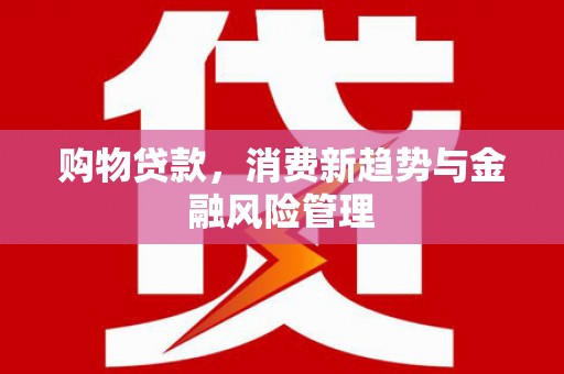 利辛购物贷款，消费新趋势与金融风险管理