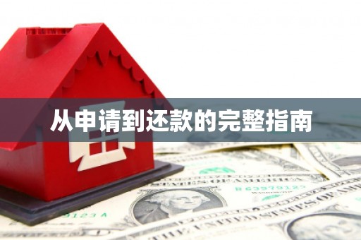利辛从申请到还款的完整指南