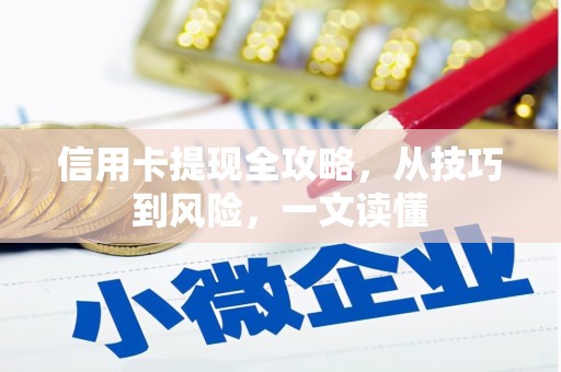 利辛信用卡提现全攻略，从技巧到风险，一文读懂