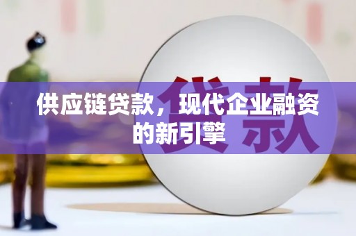 利辛供应链贷款，现代企业融资的新引擎