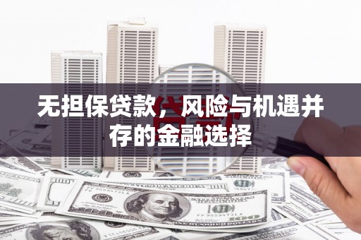 利辛无担保贷款，风险与机遇并存的金融选择