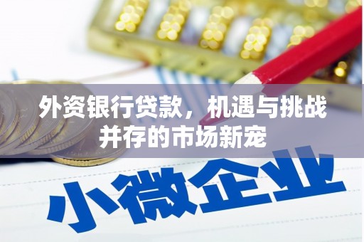 利辛外资银行贷款，机遇与挑战并存的市场新宠