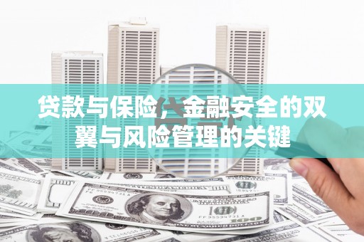利辛贷款与保险，金融安全的双翼与风险管理的关键