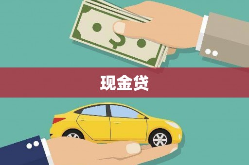 利辛现金贷