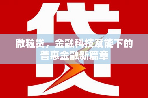 利辛微粒贷，金融科技赋能下的普惠金融新篇章