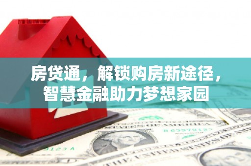 利辛房贷通，解锁购房新途径，智慧金融助力梦想家园