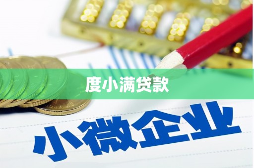 利辛度小满贷款