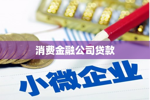 利辛消费金融公司贷款