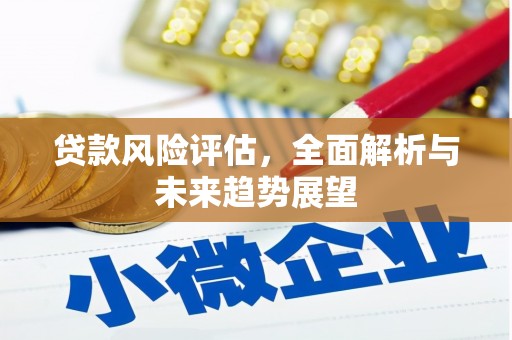 利辛贷款风险评估，全面解析与未来趋势展望