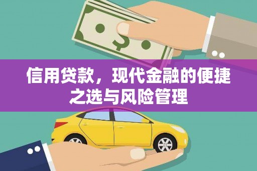 利辛信用贷款，现代金融的便捷之选与风险管理