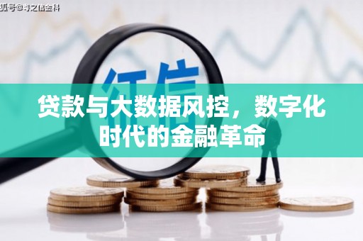 利辛贷款与大数据风控，数字化时代的金融革命