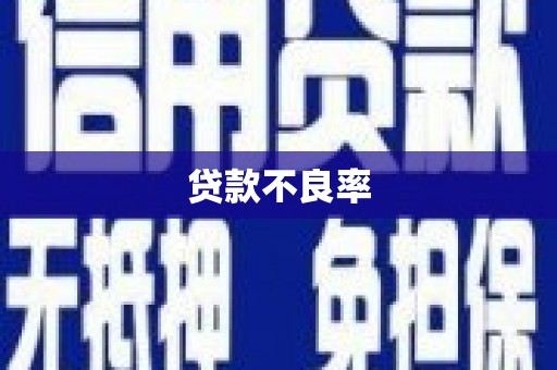 利辛贷款不良率