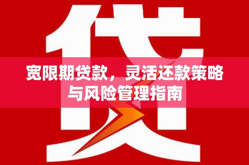 利辛宽限期贷款，灵活还款策略与风险管理指南