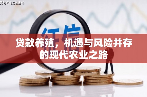 利辛贷款养殖，机遇与风险并存的现代农业之路