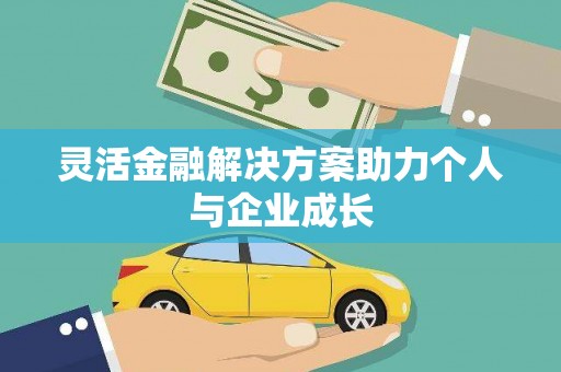 利辛灵活金融解决方案助力个人与企业成长