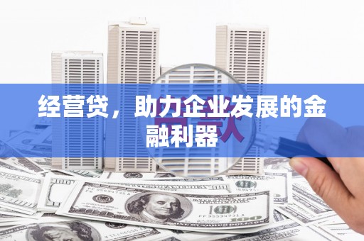 利辛经营贷，助力企业发展的金融利器
