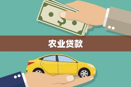 利辛农业贷款