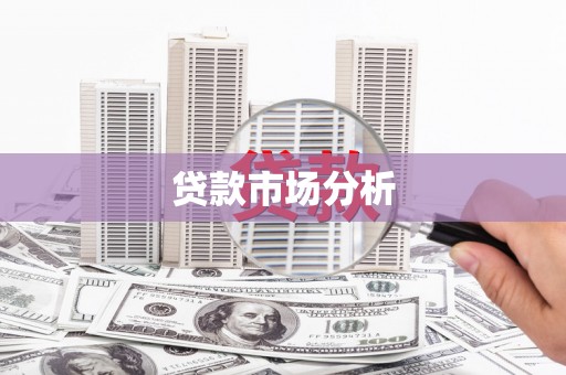 利辛贷款市场分析