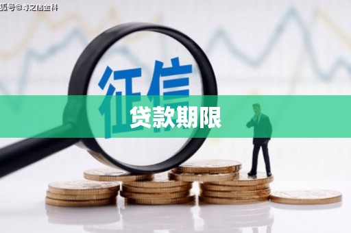利辛贷款期限