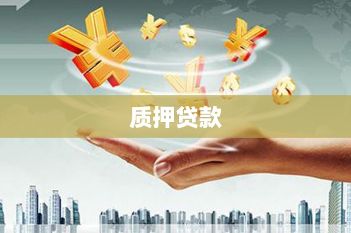 利辛质押贷款