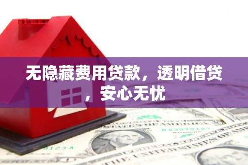 利辛无隐藏费用贷款，透明借贷，安心无忧