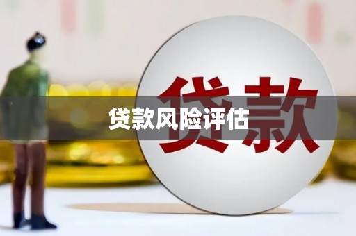 利辛贷款风险评估