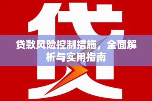 利辛贷款风险控制措施，全面解析与实用指南