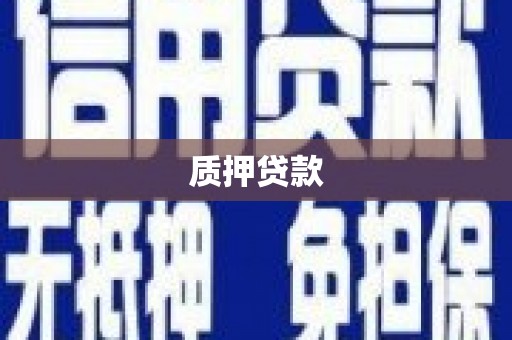 利辛质押贷款