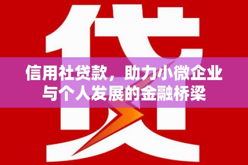 利辛信用社贷款，助力小微企业与个人发展的金融桥梁