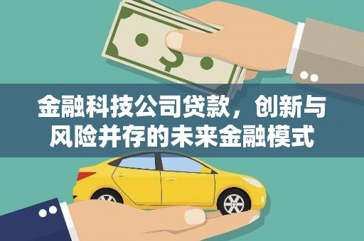 利辛金融科技公司贷款，创新与风险并存的未来金融模式