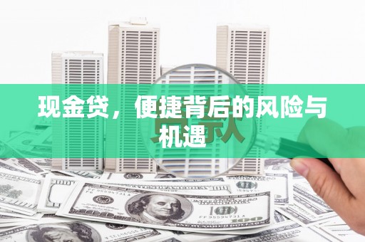 利辛现金贷，便捷背后的风险与机遇