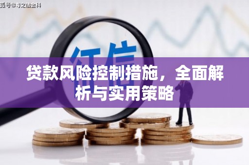 利辛贷款风险控制措施，全面解析与实用策略