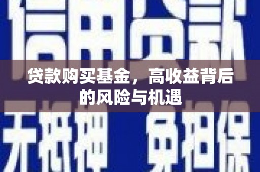 利辛贷款购买基金，高收益背后的风险与机遇