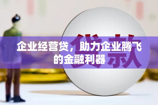 利辛企业经营贷，助力企业腾飞的金融利器