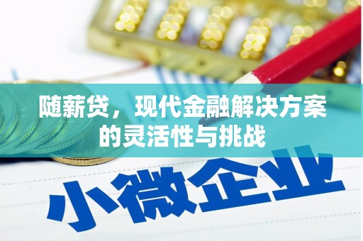 利辛随薪贷，现代金融解决方案的灵活性与挑战