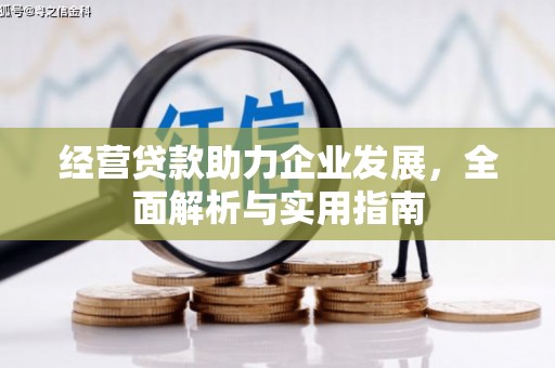 利辛经营贷款助力企业发展，全面解析与实用指南