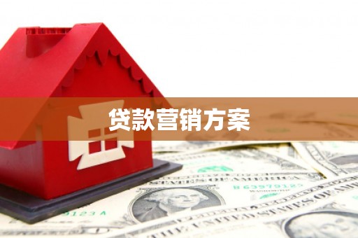 利辛贷款营销方案