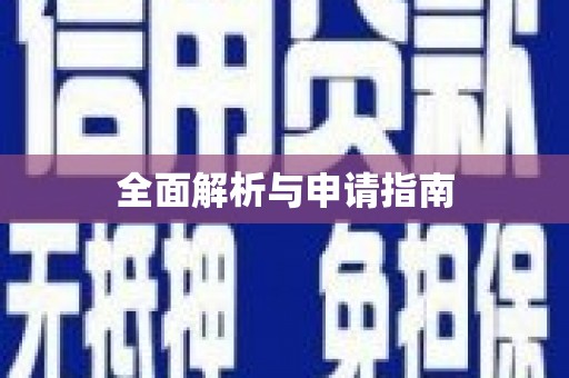 利辛全面解析与申请指南