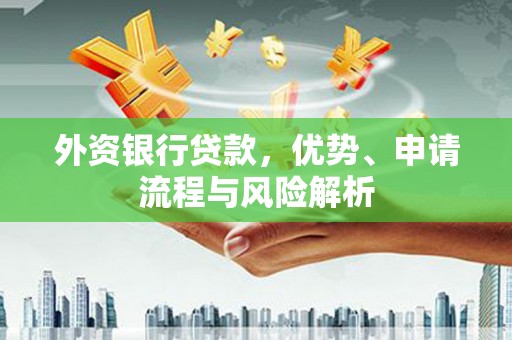 利辛外资银行贷款，优势、申请流程与风险解析