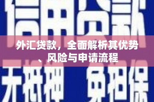 利辛外汇贷款，全面解析其优势、风险与申请流程