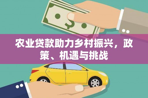 利辛农业贷款助力乡村振兴，政策、机遇与挑战