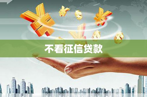 利辛不看征信贷款