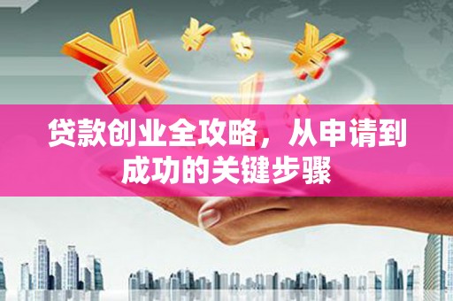 利辛贷款创业全攻略，从申请到成功的关键步骤