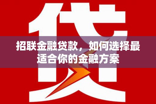 利辛招联金融贷款，如何选择最适合你的金融方案