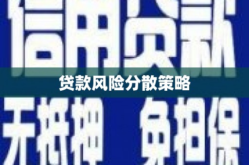 利辛贷款风险分散策略