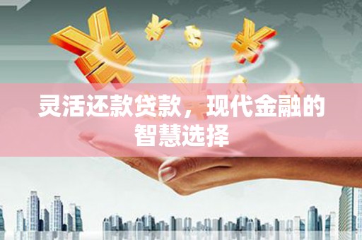 利辛灵活还款贷款，现代金融的智慧选择